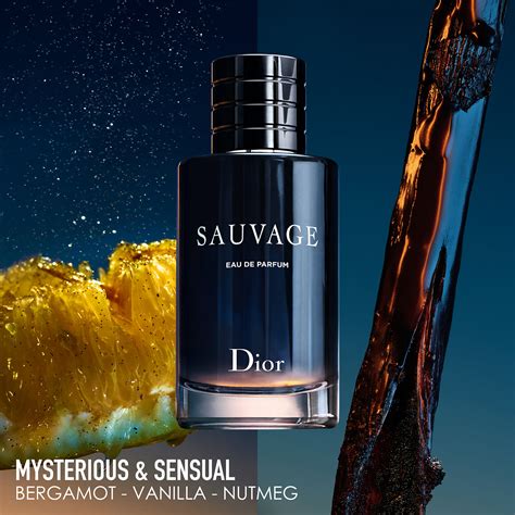 dior sauvage ne zaman çıktı|sauvage dior fragrance.